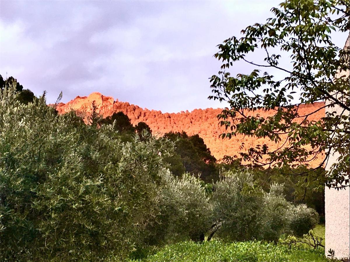 Casa Rural Cortijo La Ajedrea Siles Dış mekan fotoğraf