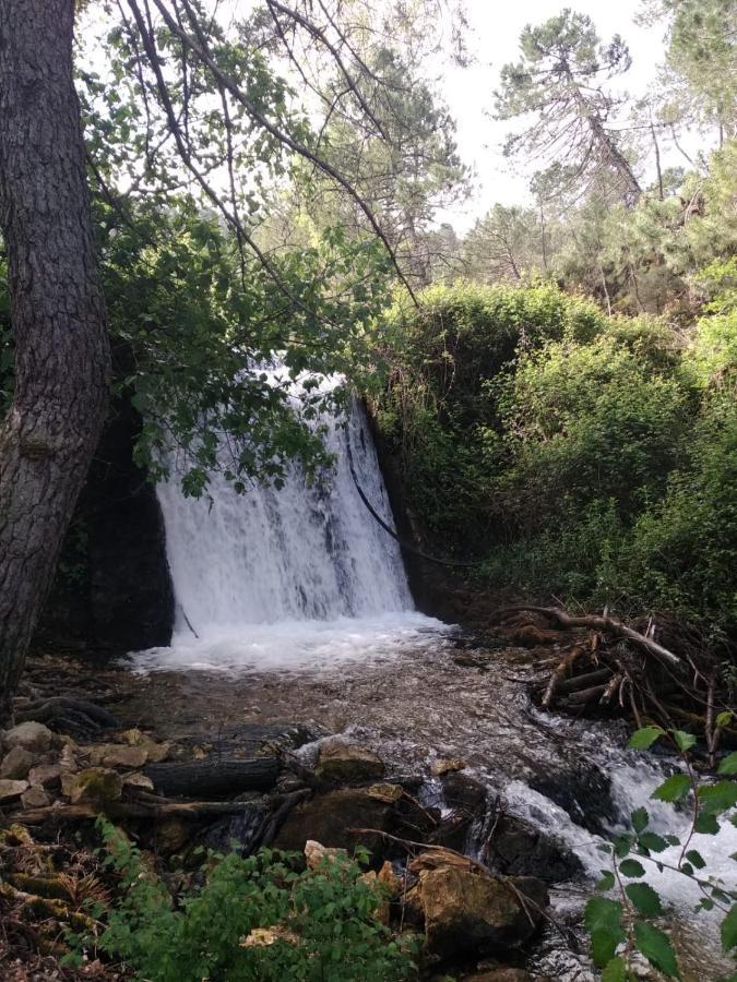 Casa Rural Cortijo La Ajedrea Siles Dış mekan fotoğraf