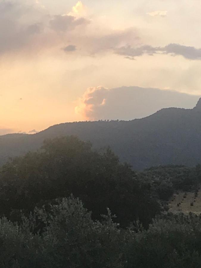 Casa Rural Cortijo La Ajedrea Siles Dış mekan fotoğraf